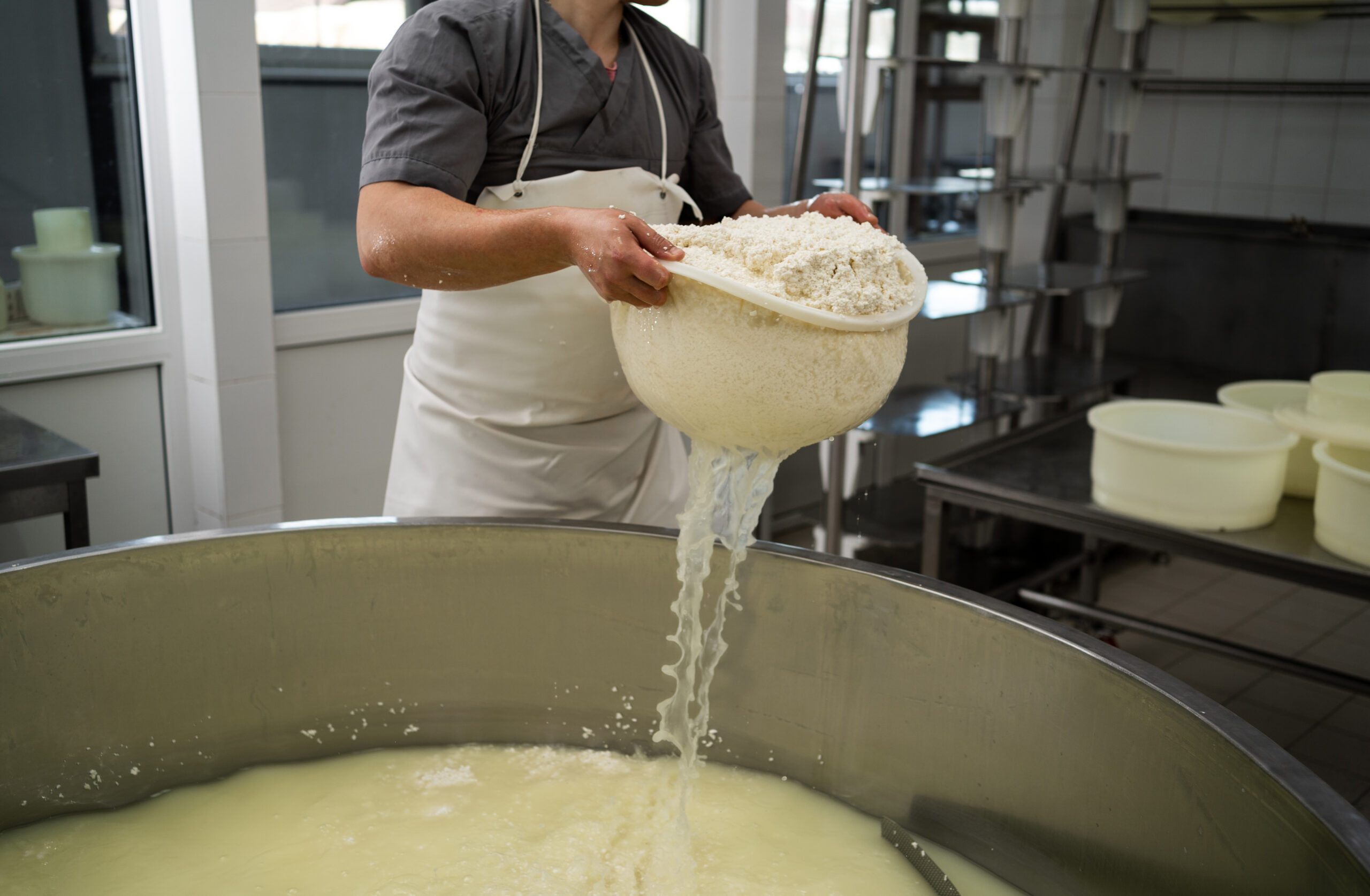 Concept of cheese production process. Draining the whey through sieve. Copy space