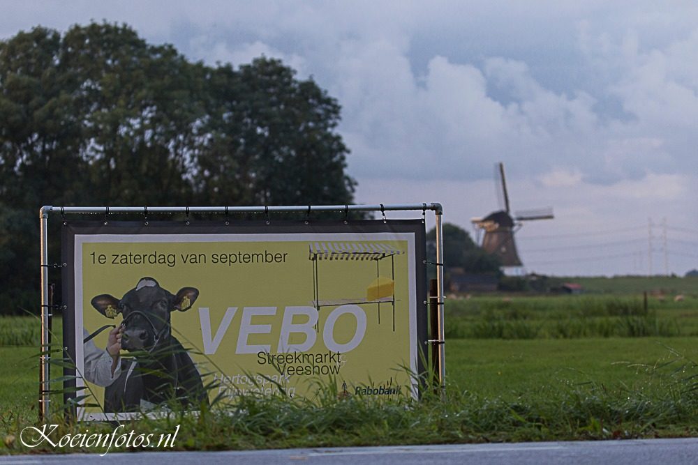 Vebo